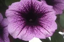 014